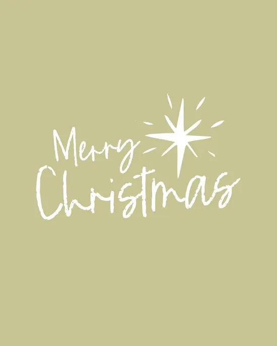 Merry Christmas | Newcastle Integrated Physiotherapy
